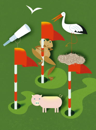 Illustration med tre röda golfflaggor mot grön bakgrund. En groda klättrar uppför en flaggstång, en stork, en gris och en kikare ska illustrera natur och biologisk mångfald. 